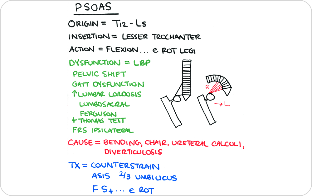 COMLEX exam preparation — osteopathic illustration